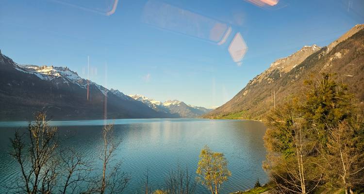 Up to 25% off - Switzerland in a Week (Zurich, Interlaken and Lucerne) - WiseYatra 4