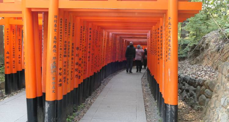 Japanese Scenes and Mount Fuji - Europamundo 10