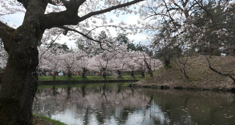 Japanese Scenes and Mount Fuji - Europamundo 10