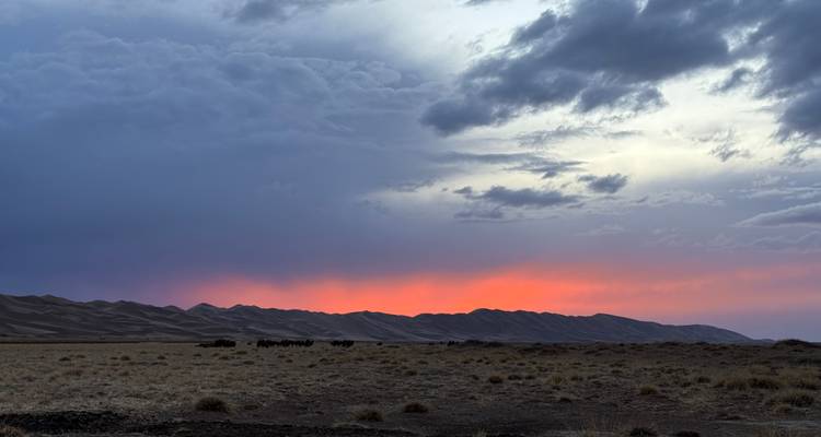 Treasures of Mongolia/OCT-MAY/ - Tour Mongolia 2