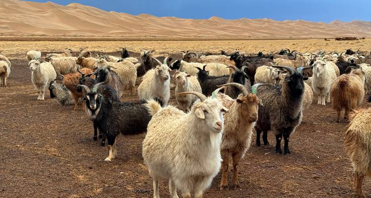 Treasures of Mongolia/OCT-MAY/ - Tour Mongolia 7