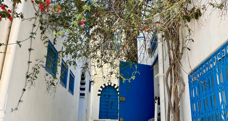 Découvrir la Tunisie, circuit en petit groupe - Tunisie Voyages 3
