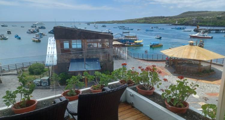 Scenic view of a harbor with boats and a gazebo.