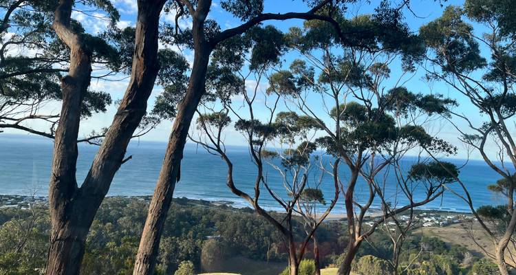 View through trees looking out towards the ocean.