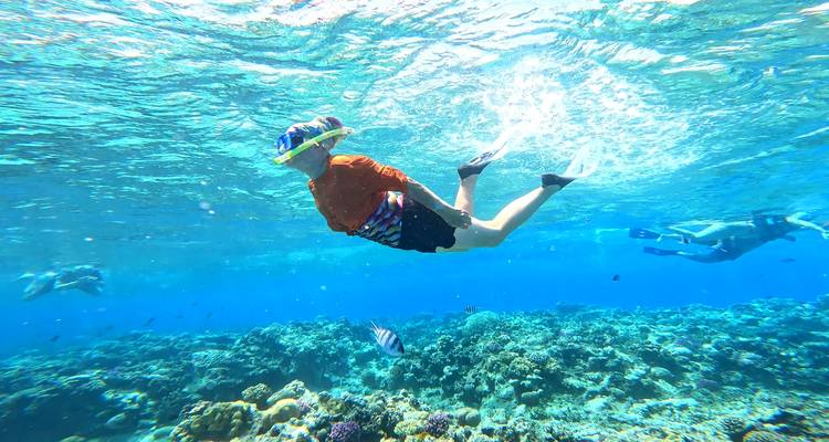 Egypt Top: Cairo, Aswan, Luxor and Hurghada guided - ToBadaa 4