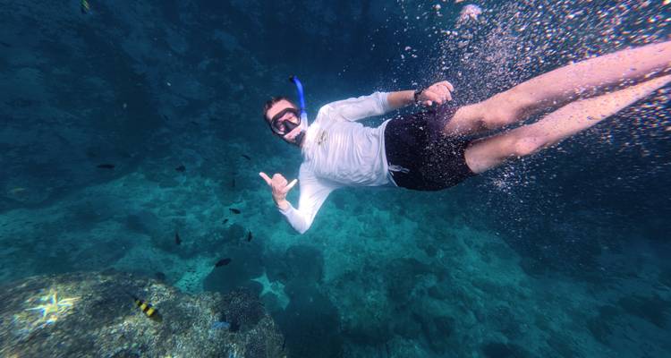 Conservación del buceo en Tailandia: Aguas Abiertas /Avanzado, Conservación de tiburones y Mantenimiento de Corales - GIVE Volunteers 3