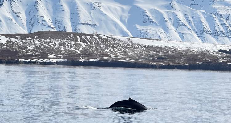 6 días - Carretera de circunvalación de Islandia - BusTravel Iceland 10
