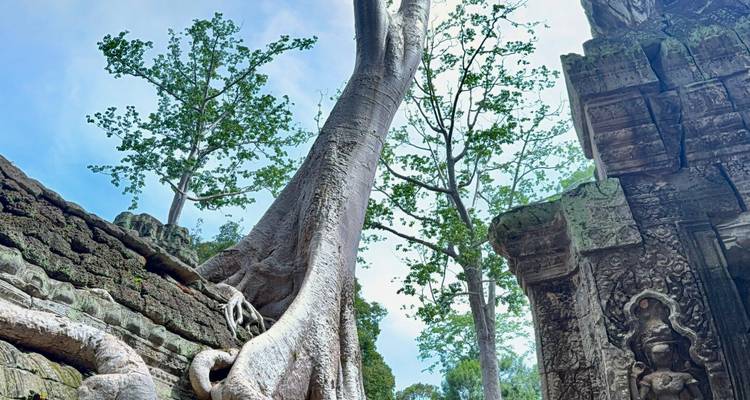 Circuit privé de 5 jours à Angkor Wat pour tous les sites emblématiques du Cambodge - About Cambodia Travel & Tours 10