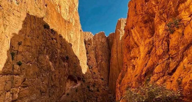 10 Days Morocco tour from Casablanca to Marrakech by Chefchaouen and Fes - Get Marrakech 4