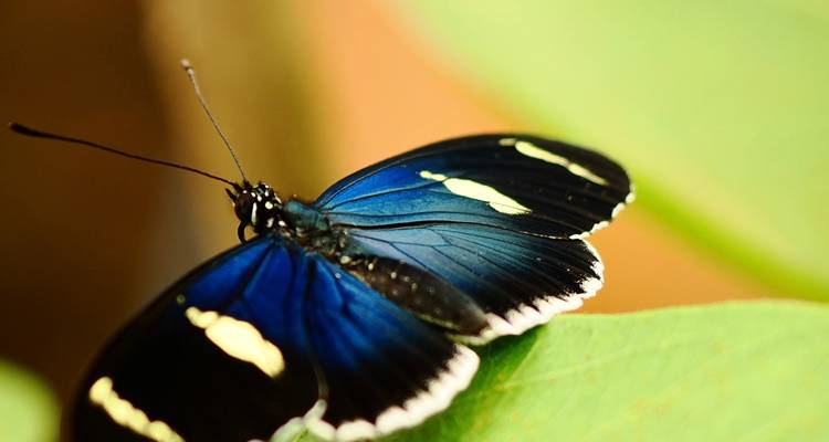 An Andean Adventure: From the Highlands to the Cloudforest - Authentic Ecuador 4