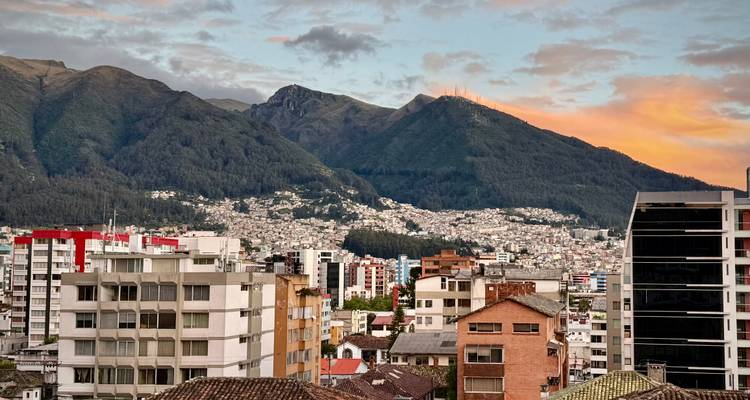 An Andean Adventure: From the Highlands to the Cloudforest - Authentic Ecuador 9