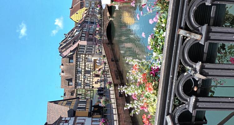 Bâtiments colorés le long d'un canal avec des fleurs au premier plan.