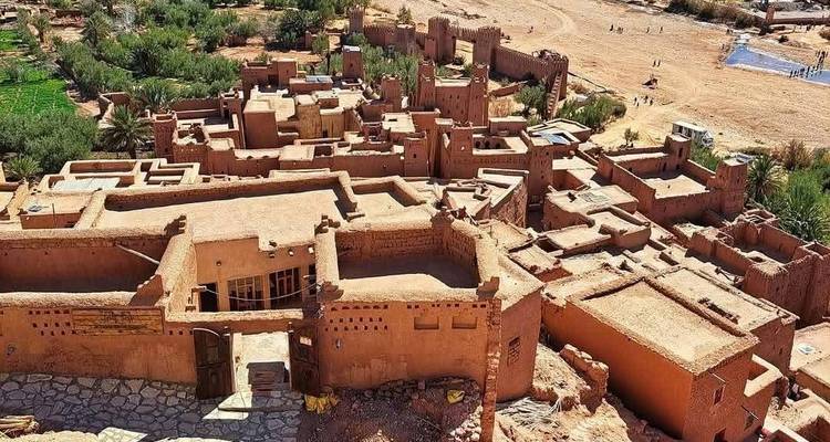 People with camels in the desert with clear skies.