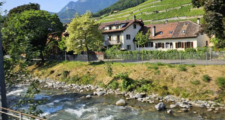 Paisaje pintoresco con un arroyo, casas y viñedos en la ladera de una colina.