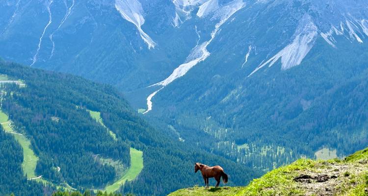 Caballo en una colina cubierta de hierba con una cordillera de montañas al fondo.