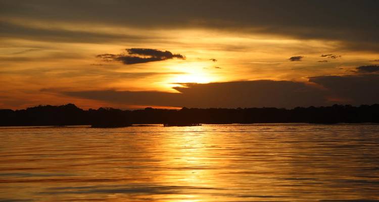 Beautiful sunset over a calm body of water with silhouetted trees.