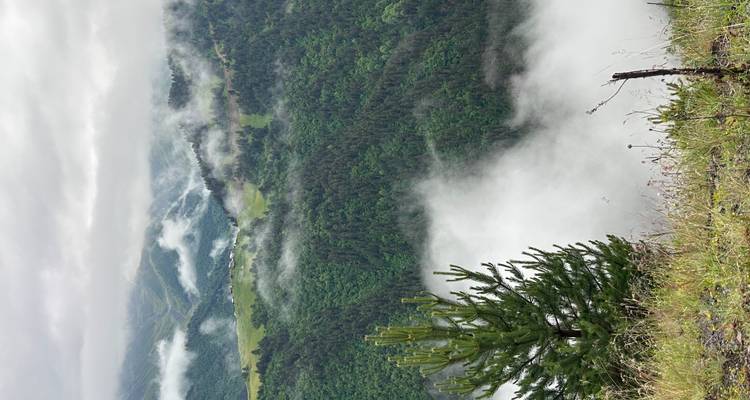Vue brumeuse d'un paysage montagneux luxuriant et verdoyant.