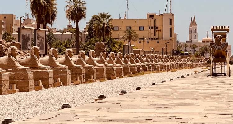 Fila de estatuas de esfinges en un sendero en Egipto.