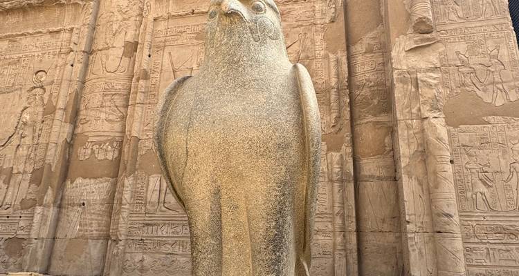 Stone statue of a falcon with hieroglyphics in the background.