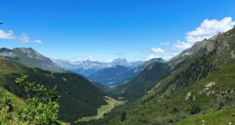 A panoramic view of a lush valley with mountains.