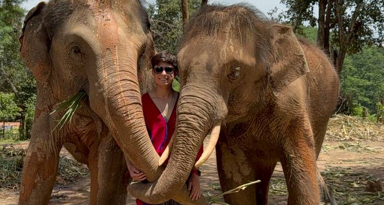 Personne avec deux éléphants, interaction ludique.