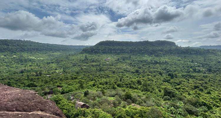 Expansive view of a dense green forest with distant hills.