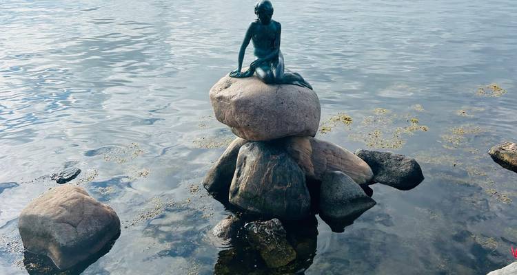 La statue de la Petite Sirène sur un rocher dans l'eau.