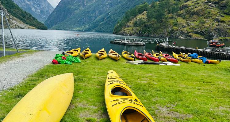 Des kayaks colorés alignés au bord d'un fjord.