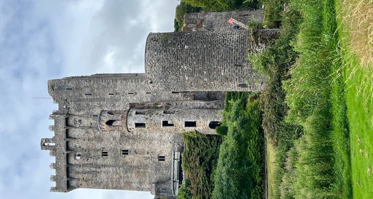 Außenansicht einer mittelalterlichen Burg mit runden Türmen und Grün.