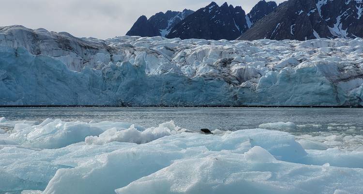 Massiver Gletscher mit schroffer Bergkulisse.