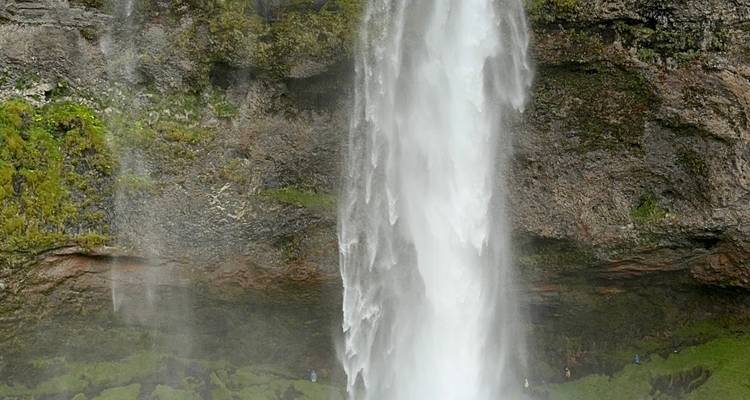 La majestueuse cascade de Seljalandsfoss dévalant par-dessus des falaises moussues.
