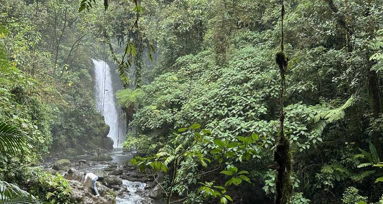 Waterfall in a lush green forest.