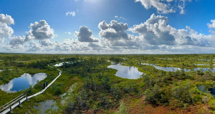 Vue aérienne d'un paysage de tourbière avec passerelles.