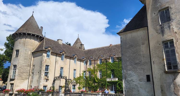 A picturesque French chateau surrounded by greenery.