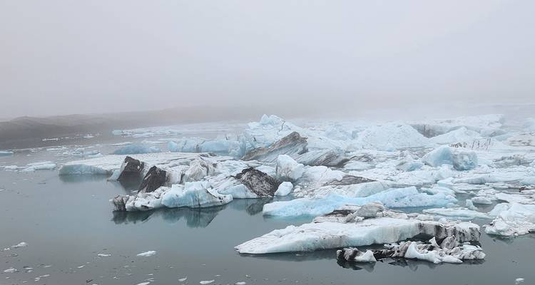 Icebergs flottant dans une lagune.