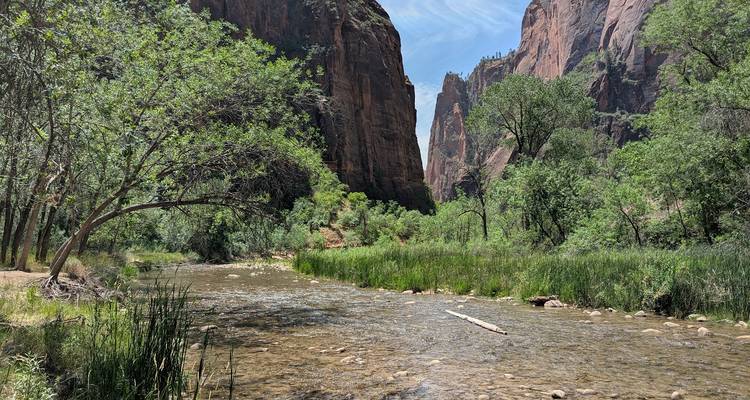 Río pintoresco que fluye a través de un cañón estrecho con árboles.
