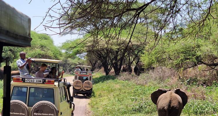 Safari vehicles with tourists observing wildlife in a national park.