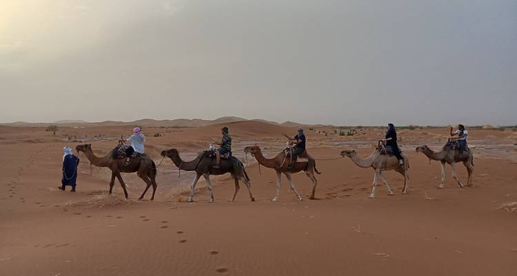 Grupo de caravana de camellos caminando por el desierto.