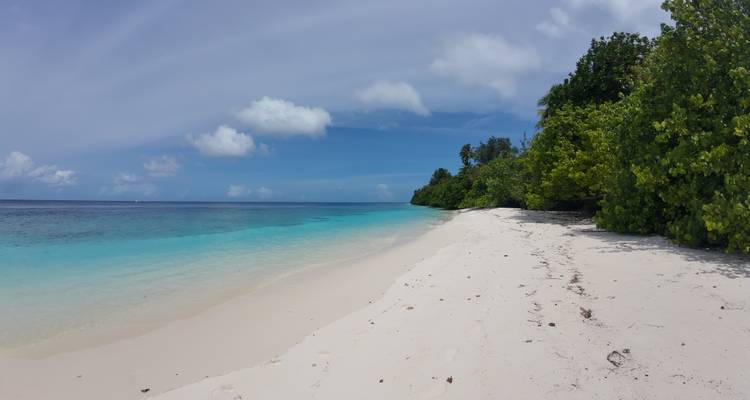 Plage de sable blanc immaculé avec une eau turquoise claire et une végétation luxuriante.