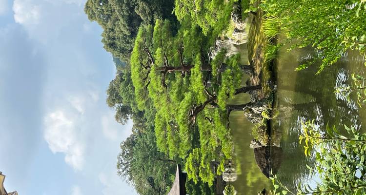 Vredige vijver met zorgvuldig onderhouden bomen in een Japanse tuin.