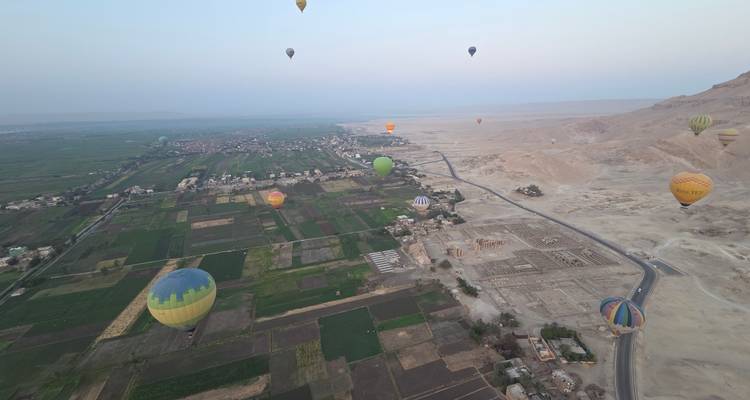 Montgolfières au-dessus d'un paysage avec des champs et du désert.