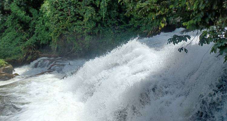 Cascada rodeada de exuberante vegetación.