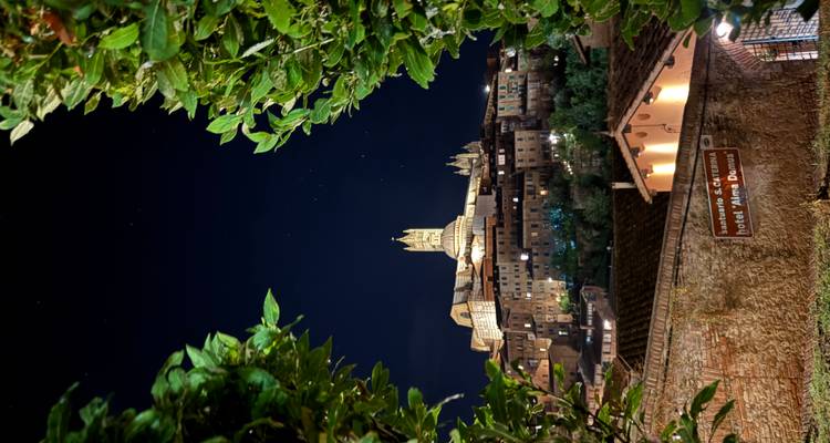 A nighttime view of a historic city with a cathedral, framed by greenery.