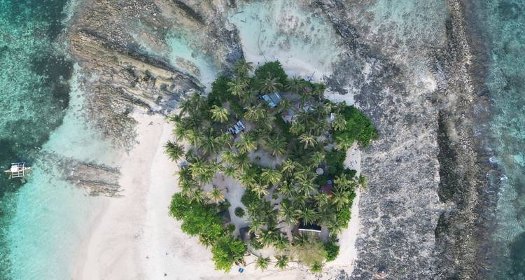 Vue aérienne d'une île avec des palmiers et un rivage rocheux.