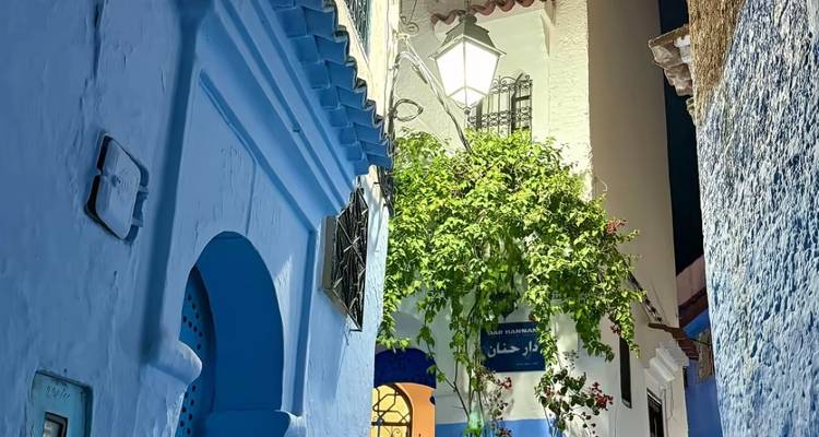 Moroccan street with blue buildings and lush greenery under a street lamp at night.