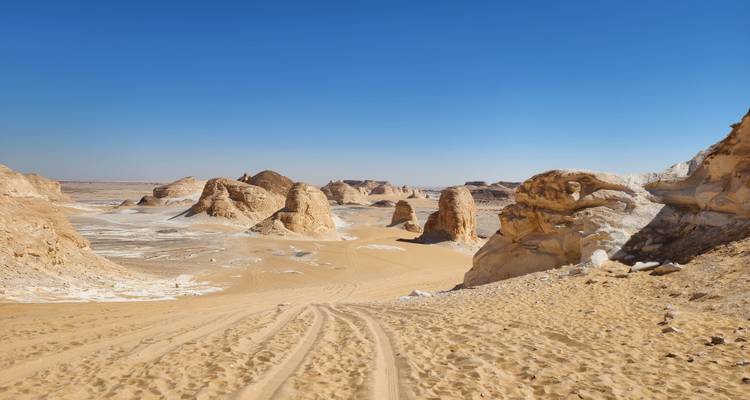 Desert landscape with unusual rock formations.