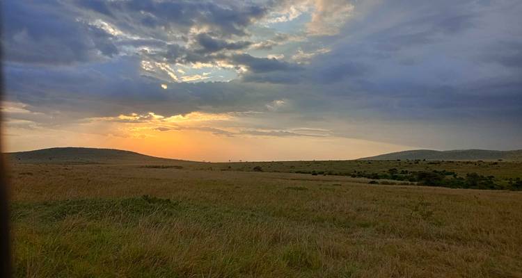 Scenic view of the savannah landscape at sunset.
