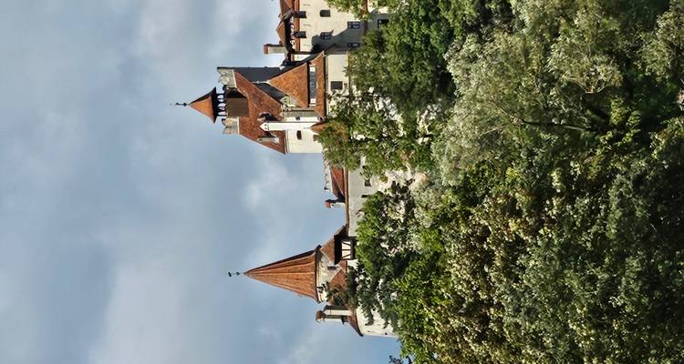 Château sur une colline entouré d'arbres