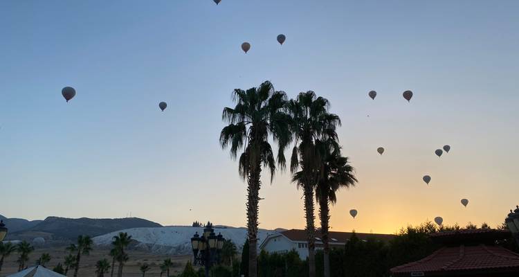 Palm trees silhouetted against a sky filled with hot air balloons.