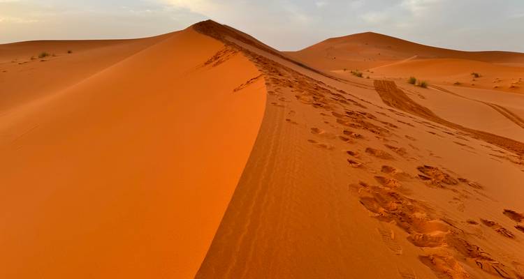 Dunes de sable avec des empreintes de pas et un ciel dégagé.
